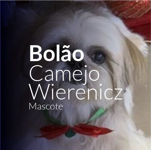 Vagas - Com mais de 20 anos de atuação no mercado da Comunicação e no atendimento a clientes de todo o país, a Camejo Estratégias em Comunicação põe a serviço de cada cliente a experiência, o conhecimento técnico, os relacionamentos e a credibilidade, além de muita ousadia para buscar os melhores resultados.  