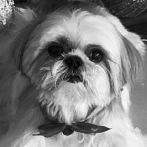 Vagas - Com mais de 20 anos de atuação no mercado da Comunicação e no atendimento a clientes de todo o país, a Camejo Estratégias em Comunicação põe a serviço de cada cliente a experiência, o conhecimento técnico, os relacionamentos e a credibilidade, além de muita ousadia para buscar os melhores resultados.  